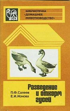 Павел Салеев Разведение и откорм гусей обложка книги