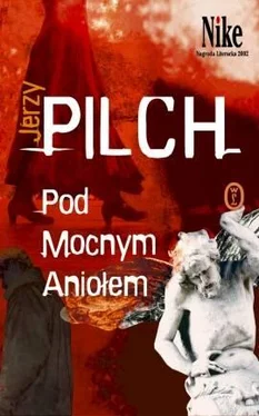 Jerzy Pilch Pod mocnym aniołem обложка книги