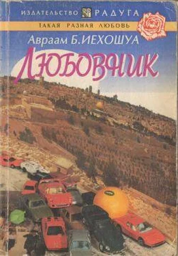 Авраам Иехошуа Любовник обложка книги