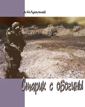 Александр Лукьянов Старик с обочины обложка книги