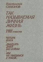 Константин Симонов - Двадцать дней без войны