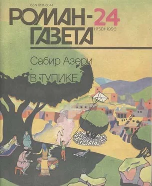 Сабир Азери В тупике обложка книги