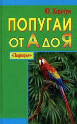 Юрий Харчук - Попугаи от А до Я