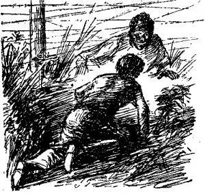 Друг Вот теперь другое дело Перчинка даже подскочил от радости Он сейчас - фото 6