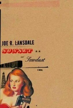 Joe Lansdale Sunset and Sawdust обложка книги