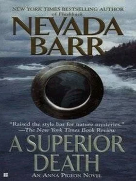 Nevada Barr A Superior Death обложка книги