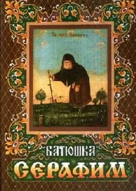 Архимандрит Тихон (Шевкунов) Житие преподобного Серафима для детей обложка книги