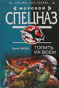 Сергей Зверев Топить их всех! обложка книги