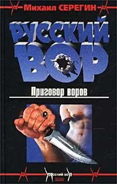 Михаил Серегин Приговор воров обложка книги