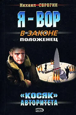 Михаил Серегин «Косяк» авторитета обложка книги