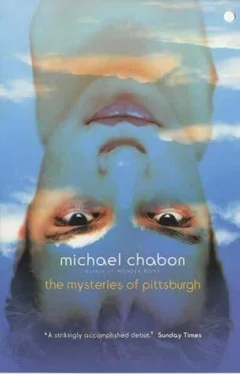 Michael Chabon The Mysteries Of Pittsburgh обложка книги