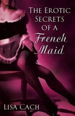 Lisa Cach The Erotic Secrets Of A French Maid обложка книги