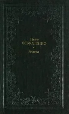 Пётр Федоренко Лепта обложка книги