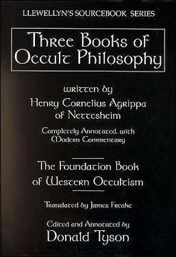 Генрих Агриппа Оккультная Философия. Книга 4 обложка книги