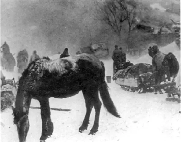 Венгерские войска в зимней России 1943 г Советские артиллеристы ведут - фото 15
