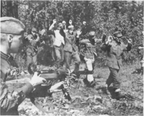Финские солдаты сдаются в плен 1944 г Вражеские пленные захваченные под - фото 4