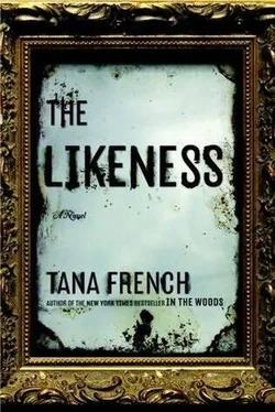 Tana French The Likeness обложка книги