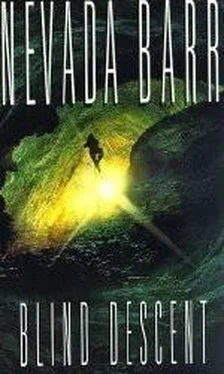 Nevada Barr Blind Descent обложка книги