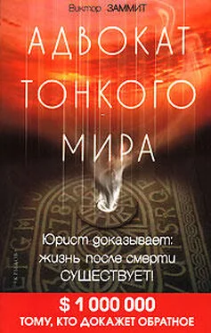 Виктор Заммит Адвокат Тонкого мира обложка книги