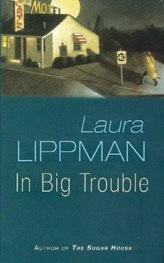 Laura Lippman In Big Trouble обложка книги