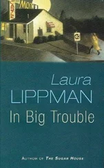 Laura Lippman - In Big Trouble