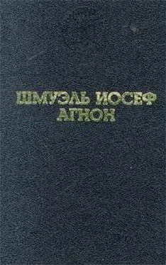 Шмуэль-Йосеф Агнон Во цвете лет обложка книги