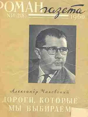 Александр Чаковский Дороги, которые мы выбираем обложка книги