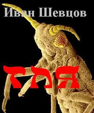 Иван Шевцов. ТЛЯ обложка книги