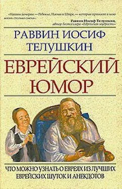 Иосиф Телушкин Еврейский юмор обложка книги