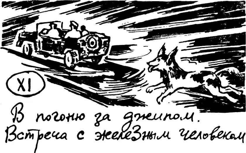 Рэкс видел как Джимми толкнули в джип и машина резко рванулась с места - фото 12