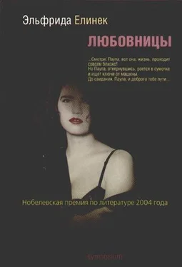 Эльфрида Елинек Любовницы обложка книги