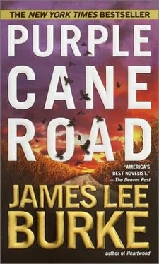 James Burke Purple Cane Road обложка книги