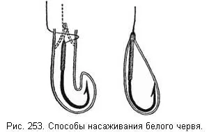 Очень часто при нерешительном клеве сазана случается что он берет червя за - фото 50