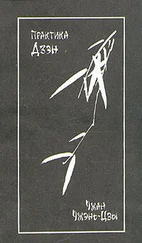 Чжан Чжень-Цзы - Практика дзэн