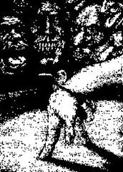 Эдуард Дворкин - Дураки