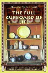 Alexander Smith - The Full Cupboard of Life