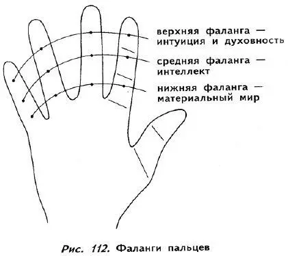 Средняя фаланга связана с интеллектом Если все средние фаланги на руке - фото 107