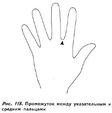 Довольно редко но все же встречаются руки с заметным промежутком между средним - фото 113