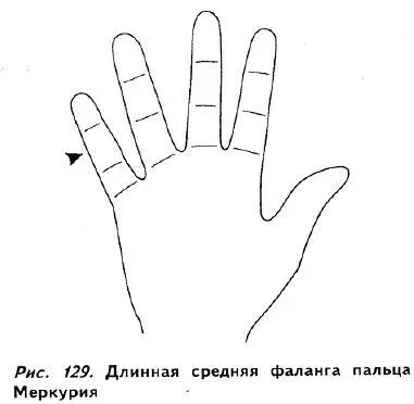 Третья или нижняя фаланга связана с материальным миром и в особенности с - фото 124
