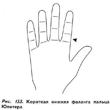 Глава 17 ХОЛМЫ Холмами называются маленькие бугорки на поверхности ладони - фото 148