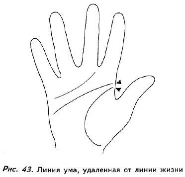 Если линия ума начинается на холме Юпитера бугорок у основания указательного - фото 41