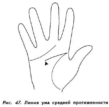 Длинная линия ума указывает на разносторонне развитого человека отличающегося - фото 45