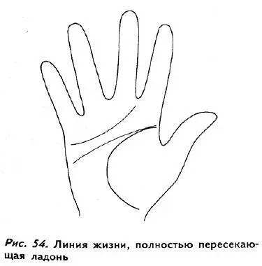 О человеке линия жизни на руке которого обнимает большой палец можно - фото 52