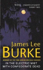 James Burke - In The Electric Mist With Confederate Dead