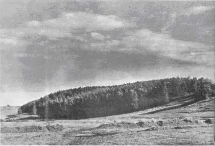СЕЛО МИШЕНСКОЕ НА ЭТОМ ХОЛМЕ НАХОДИЛАСЬ УСАДЬБА А И БУНИНА Марья Григорьевна - фото 22