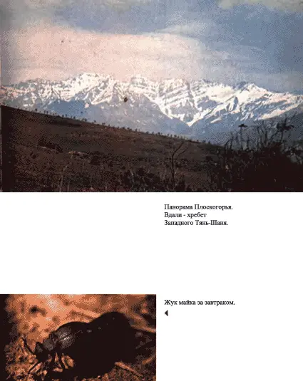 Луна над пустыней - фото 3