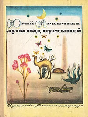 Юрий Аракчеев Луна над пустыней обложка книги