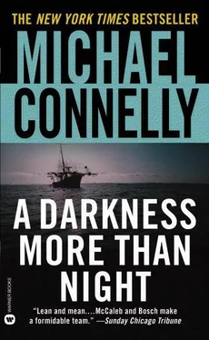 Michael Connelly A Darkness More Than Night обложка книги