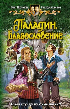 Олег Шелонин Паладин. Благословение обложка книги