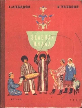 Анна Александрова Зелёная пиала обложка книги